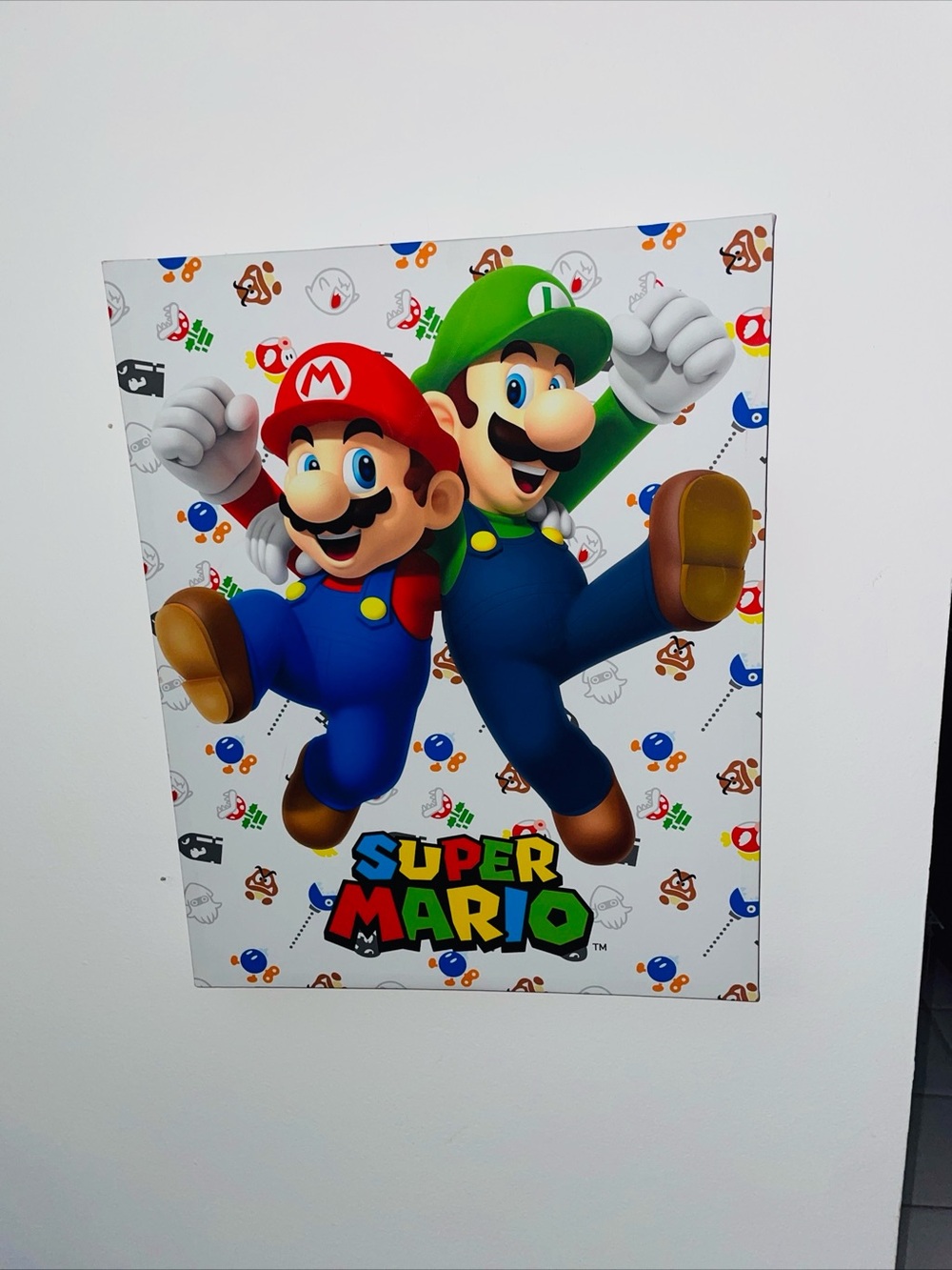 Super Mario-Nintendo official licensed product-Mario & Luigi wall art canvas